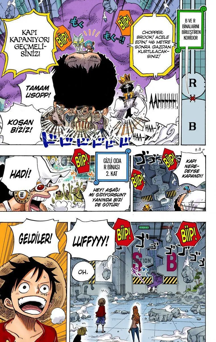 One Piece [Renkli] - Sayfa 13