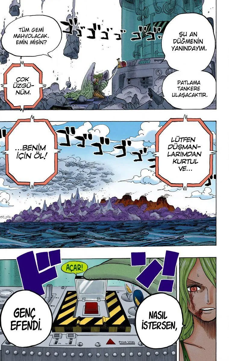 One Piece [Renkli] - Sayfa 17