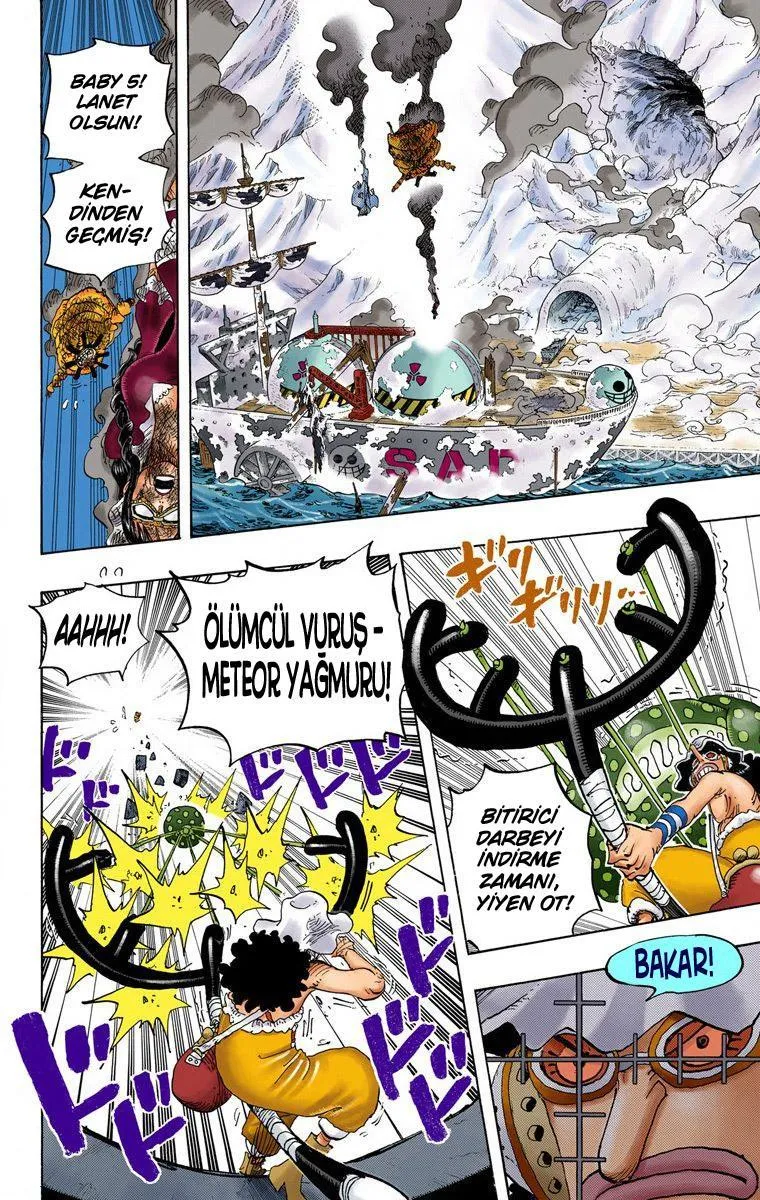 One Piece [Renkli] - Sayfa 15