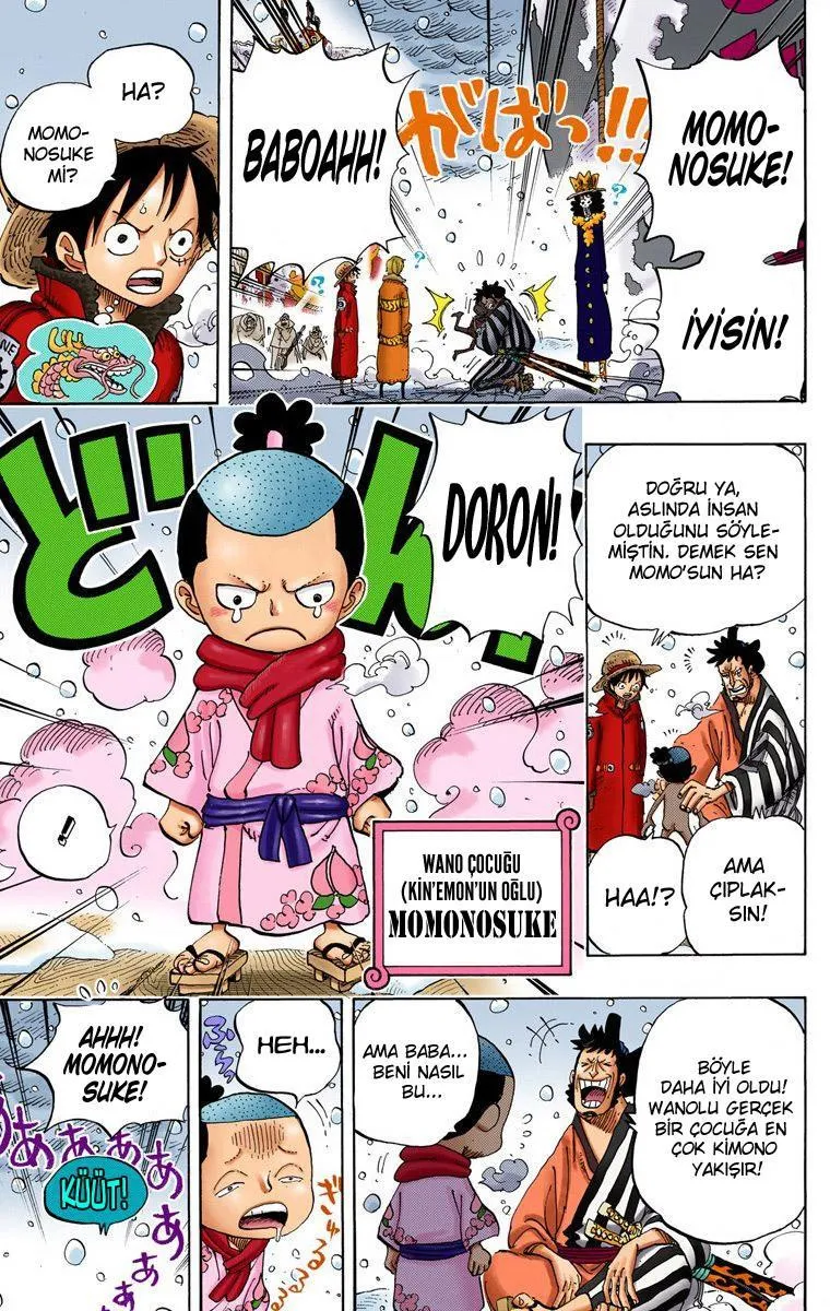 One Piece [Renkli] - Sayfa 8