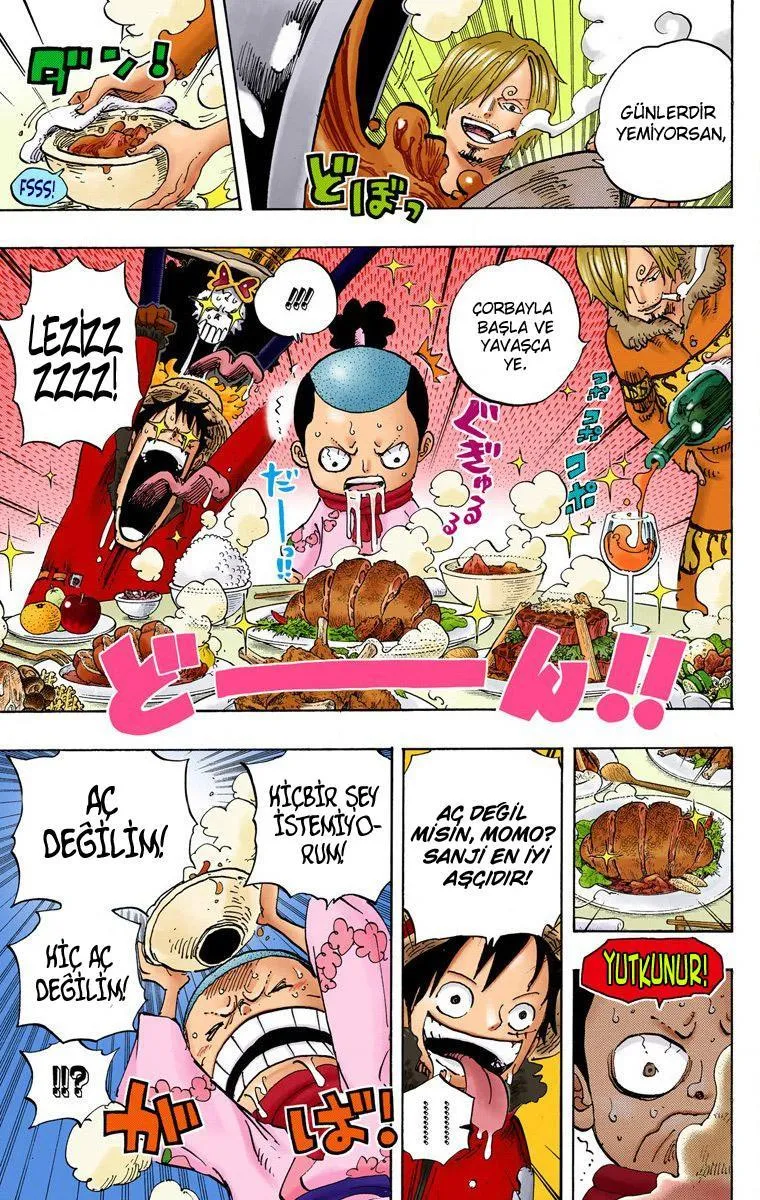 One Piece [Renkli] - Sayfa 14