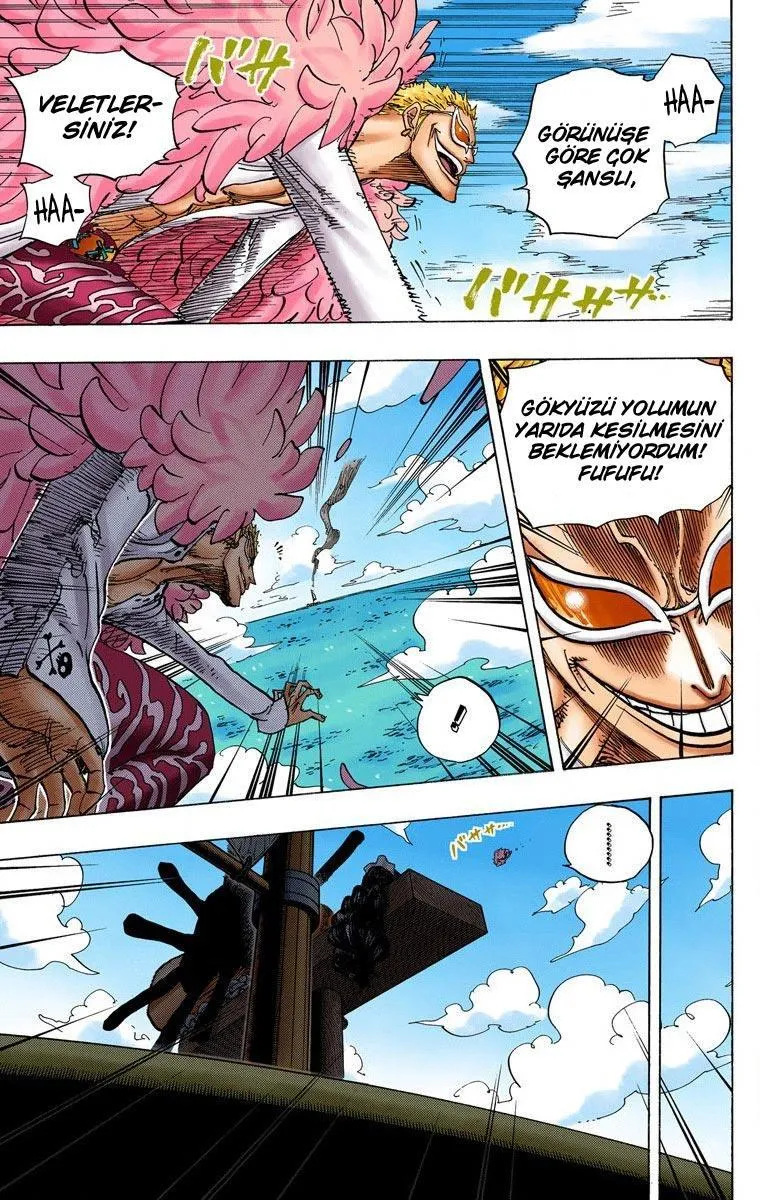 One Piece [Renkli] - Sayfa 14