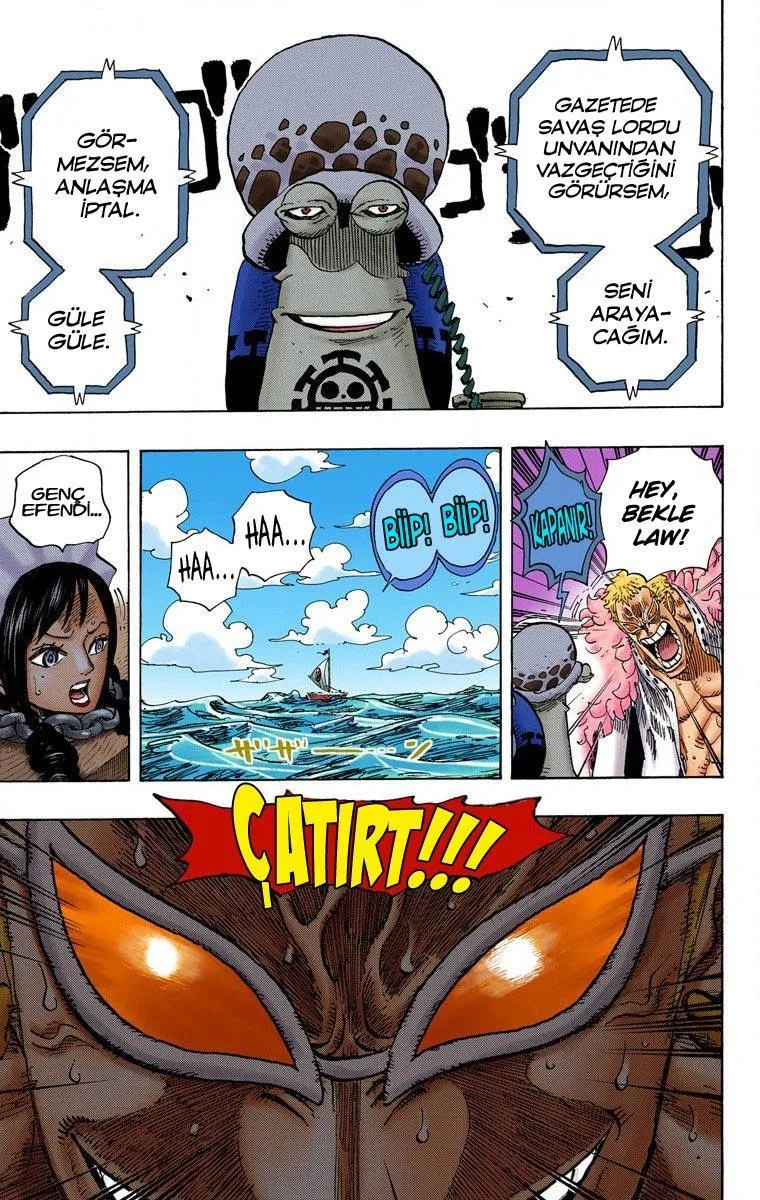 One Piece [Renkli] - Sayfa 20