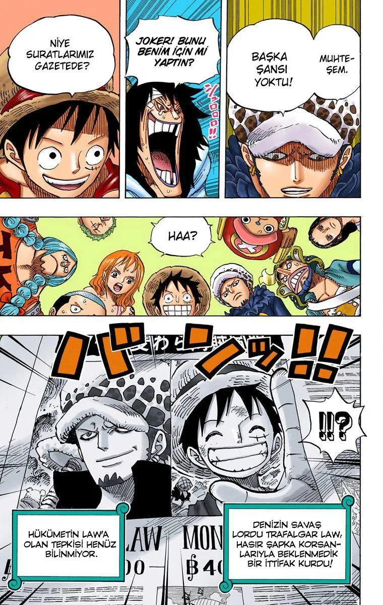 One Piece [Renkli] - Sayfa 17