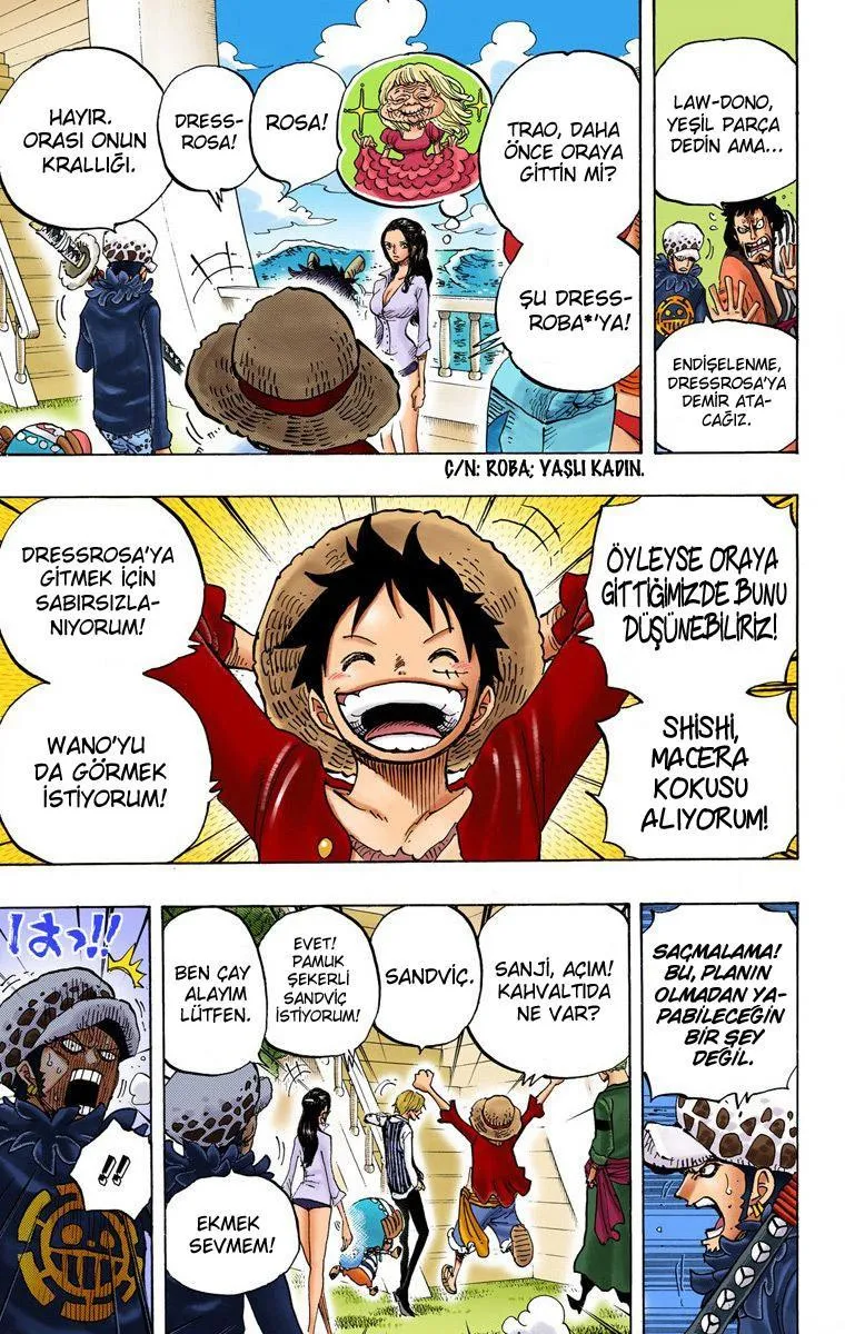 One Piece [Renkli] - Sayfa 10