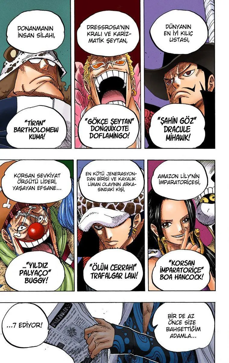 One Piece [Renkli] - Sayfa 14