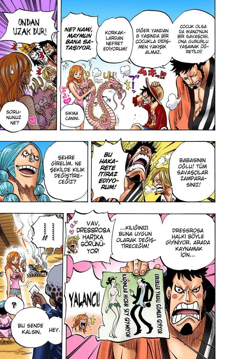 One Piece [Renkli] - Sayfa 6