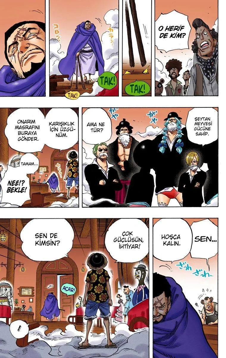 One Piece [Renkli] - Sayfa 4