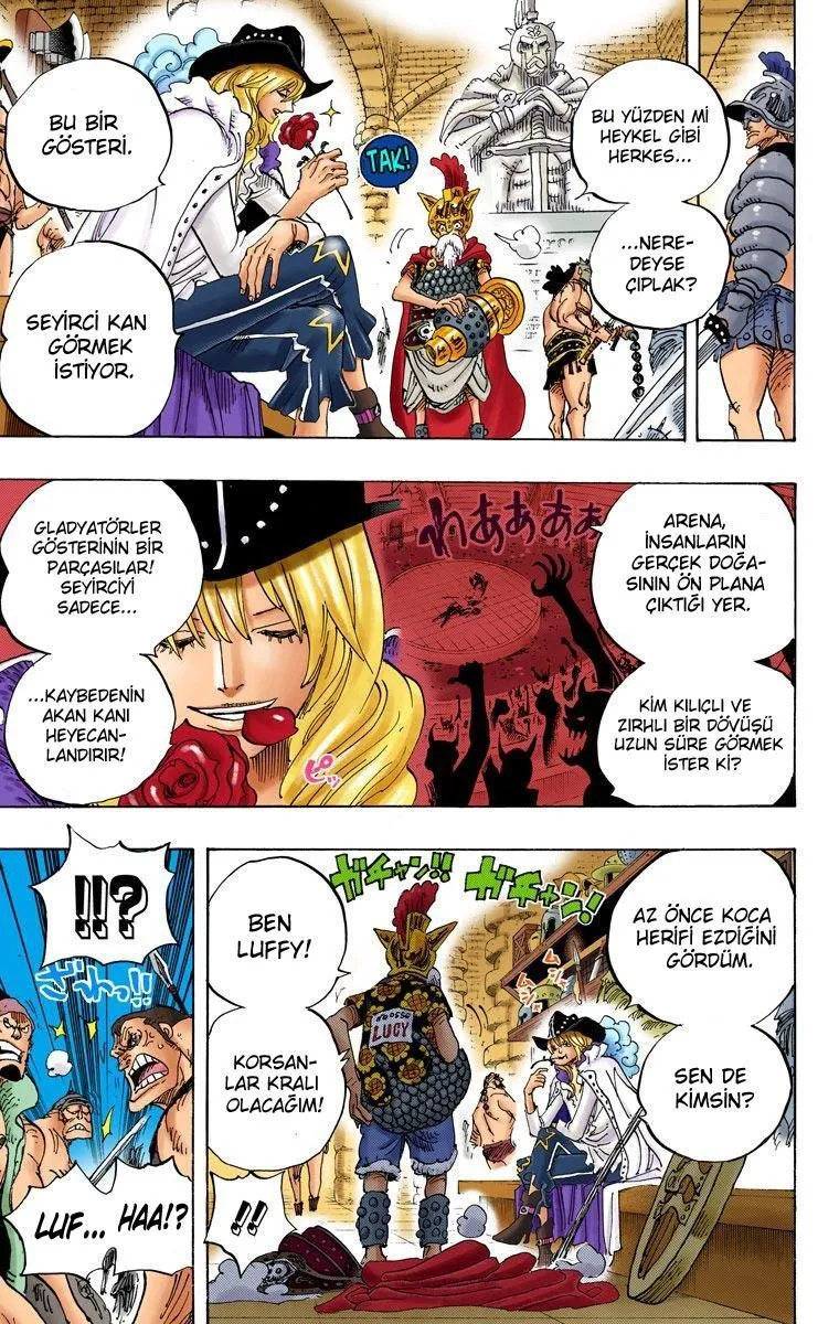 One Piece [Renkli] - Sayfa 12