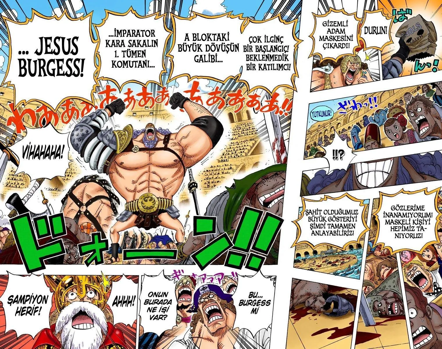 One Piece [Renkli] - Sayfa 19