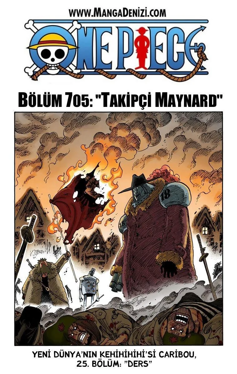 One Piece [Renkli] - Sayfa 2