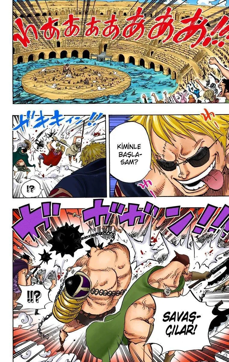 One Piece [Renkli] - Sayfa 14