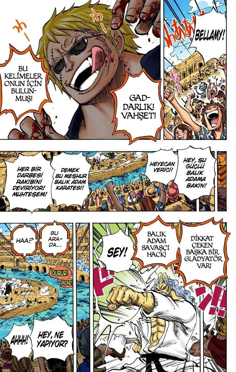 One Piece [Renkli] - Sayfa 14