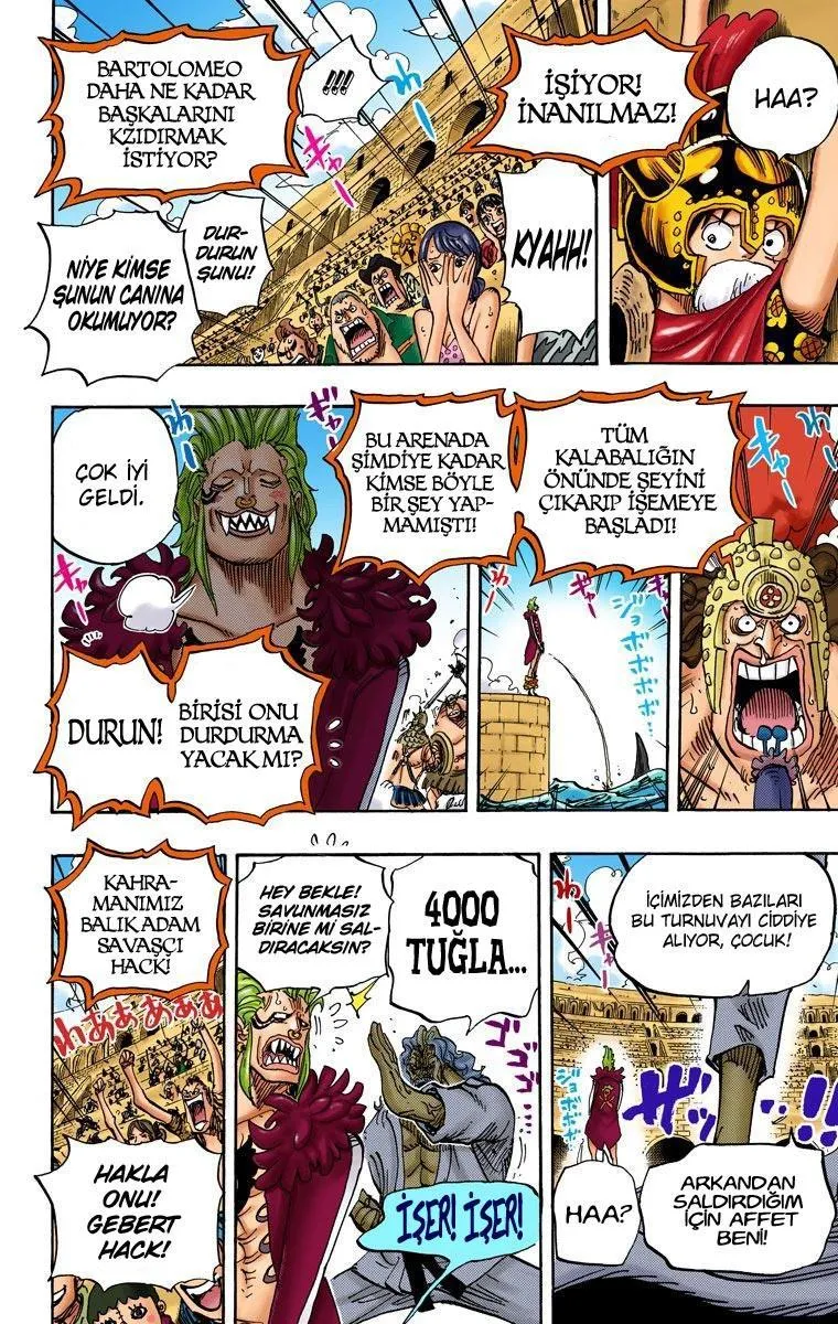 One Piece [Renkli] - Sayfa 15