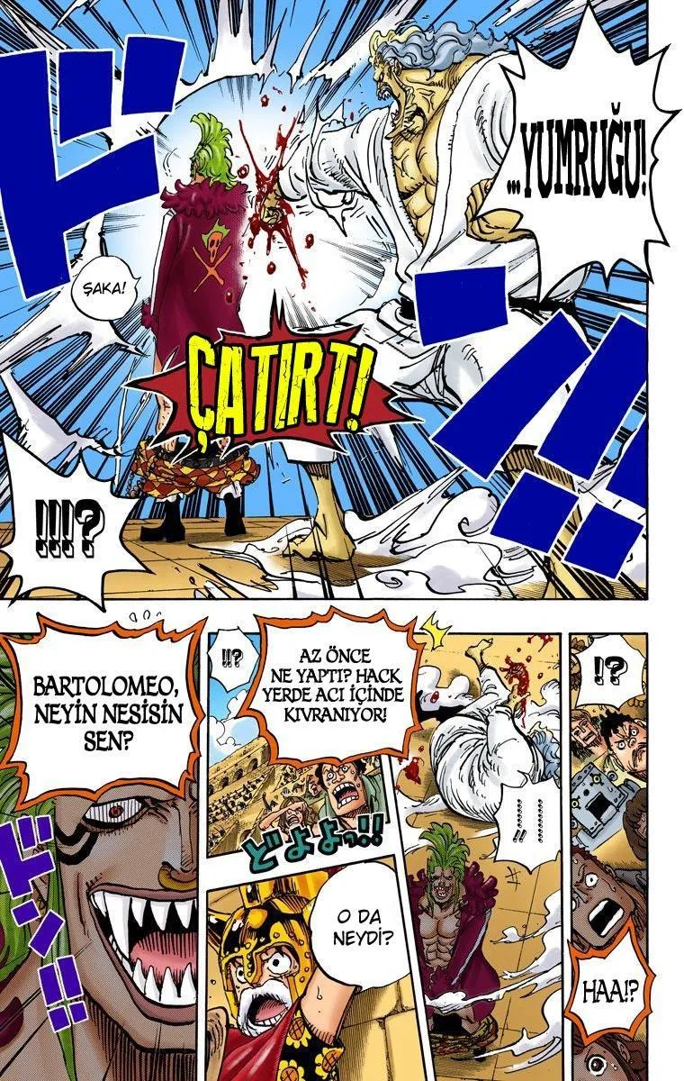 One Piece [Renkli] - Sayfa 16