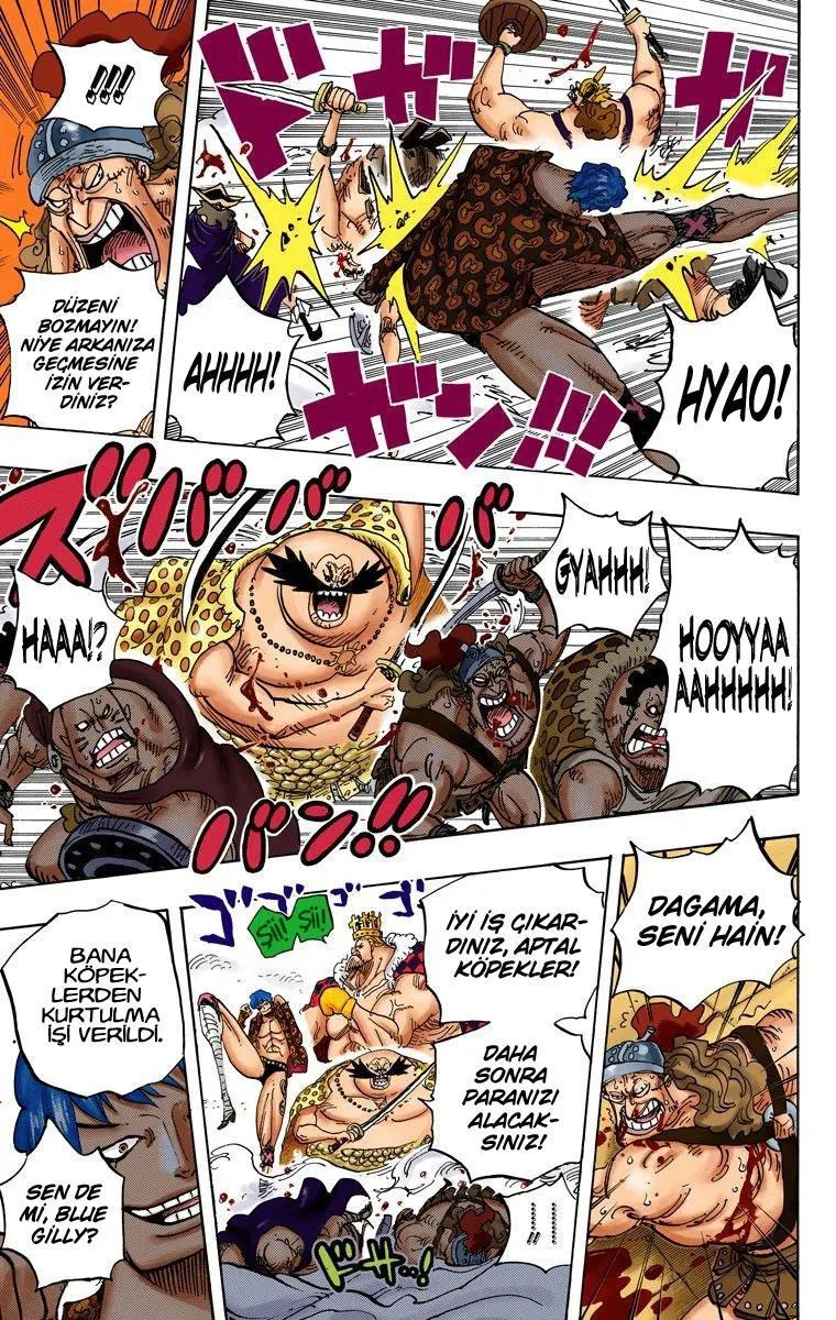 One Piece [Renkli] - Sayfa 6