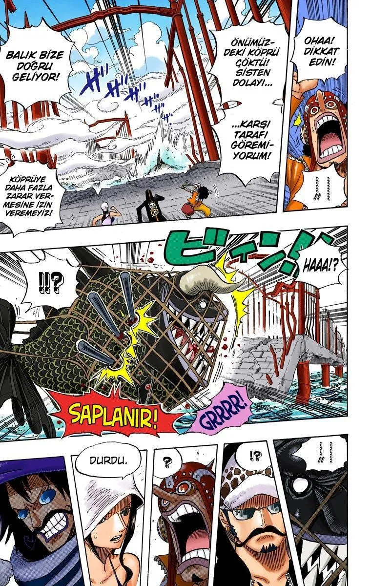 One Piece [Renkli] - Sayfa 9