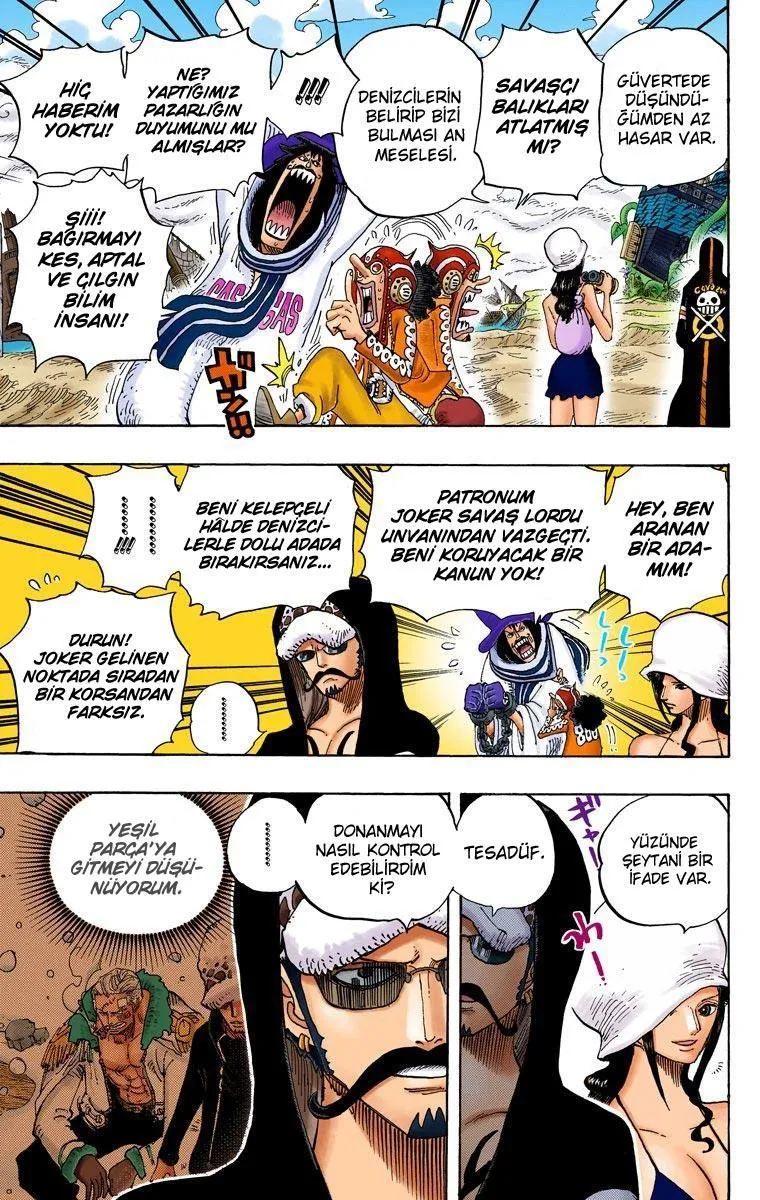 One Piece [Renkli] - Sayfa 14