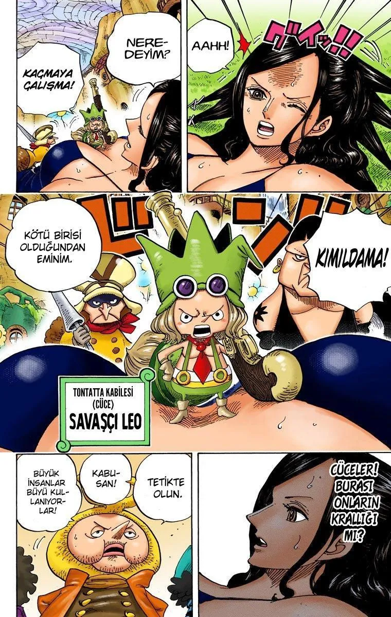 One Piece [Renkli] - Sayfa 4