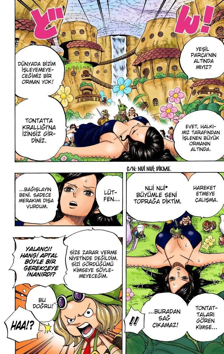 One Piece [Renkli] - Sayfa 6