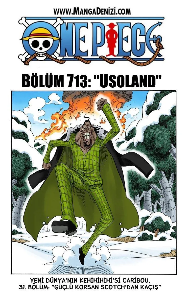 One Piece [Renkli] - Sayfa 2