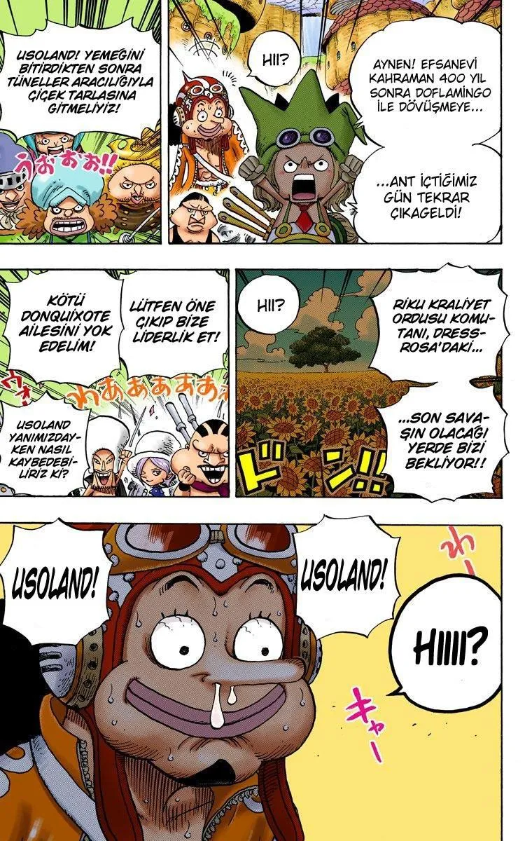 One Piece [Renkli] - Sayfa 19