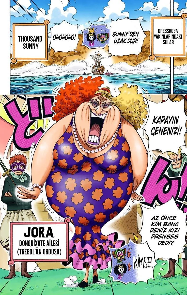 One Piece [Renkli] - Sayfa 3