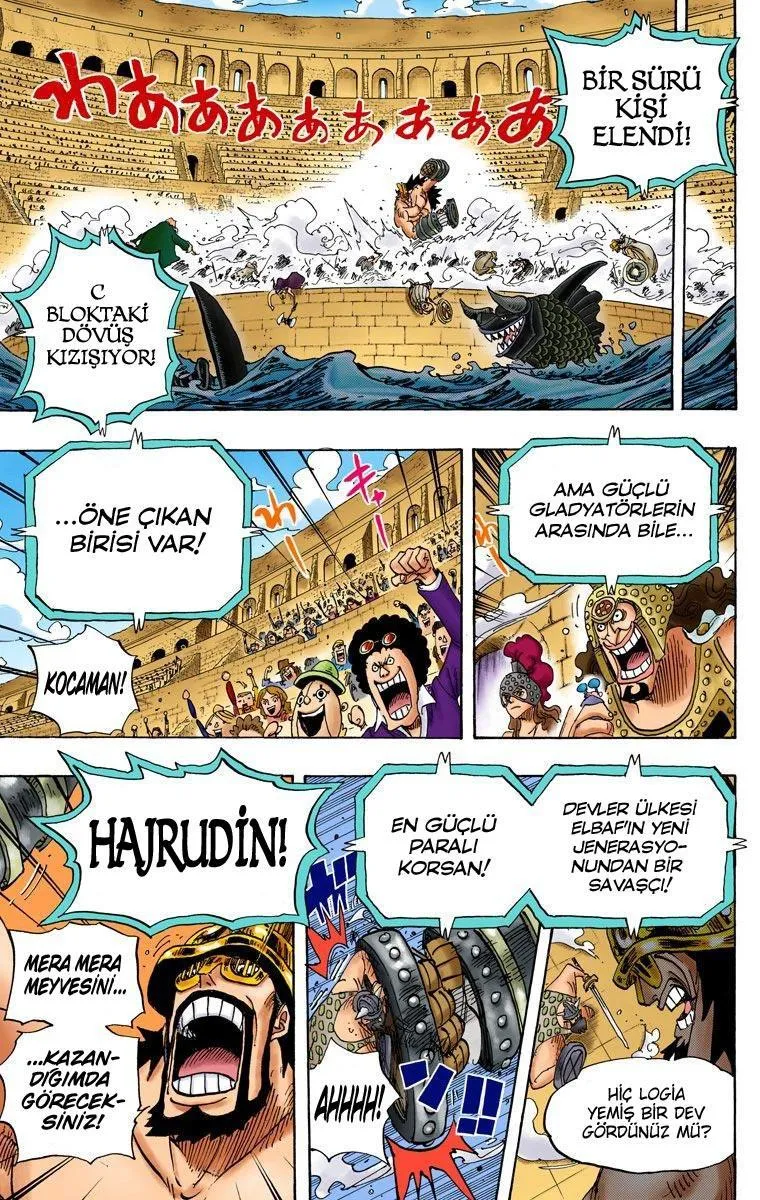 One Piece [Renkli] - Sayfa 12