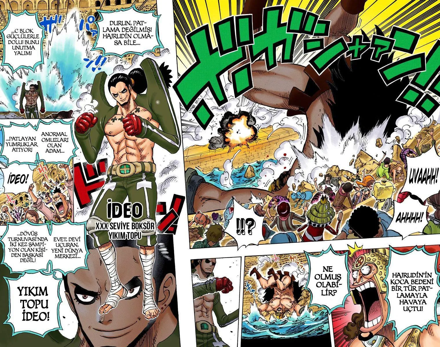 One Piece [Renkli] - Sayfa 5