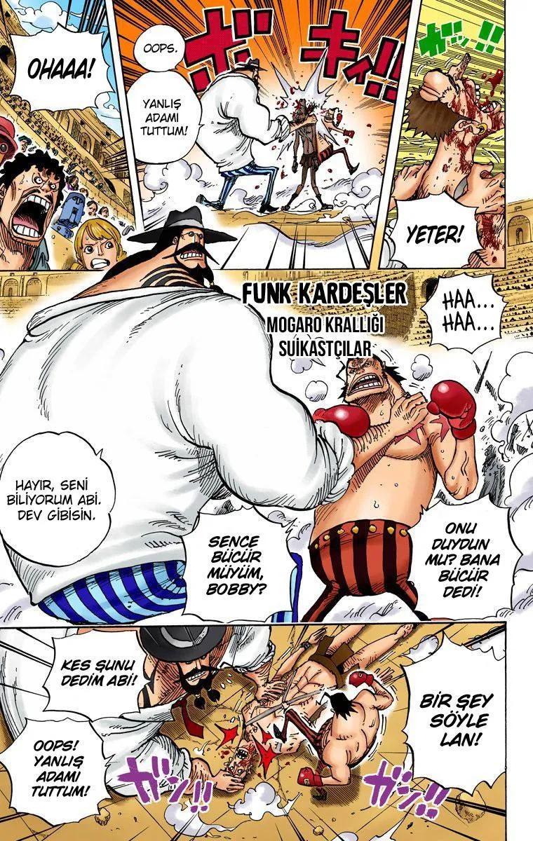 One Piece [Renkli] - Sayfa 12