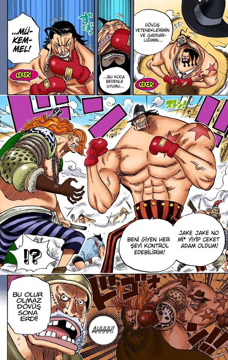 One Piece [Renkli] - Sayfa 5