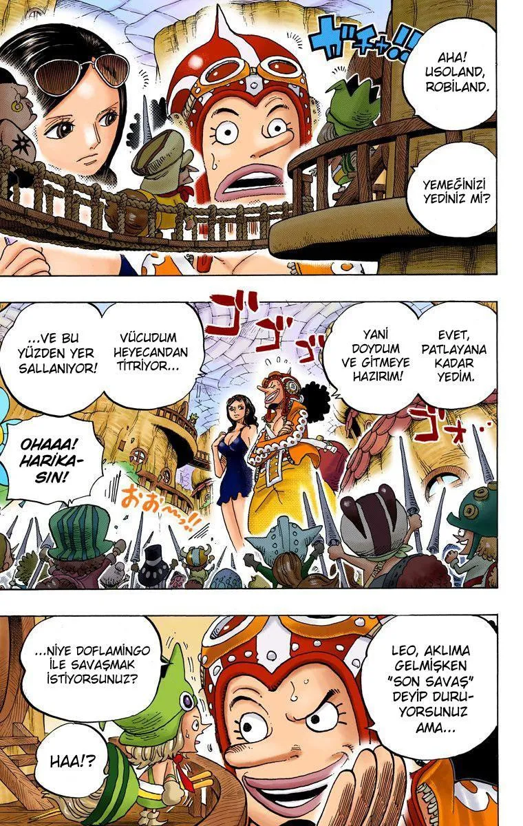 One Piece [Renkli] - Sayfa 17