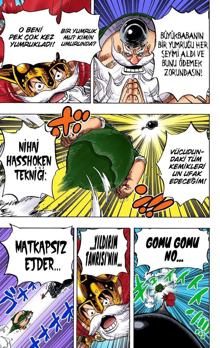 One Piece [Renkli] - Sayfa 14