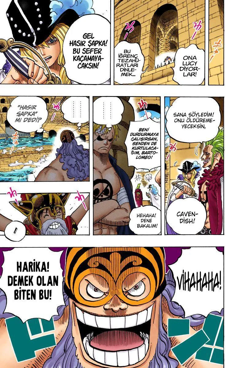 One Piece [Renkli] - Sayfa 19