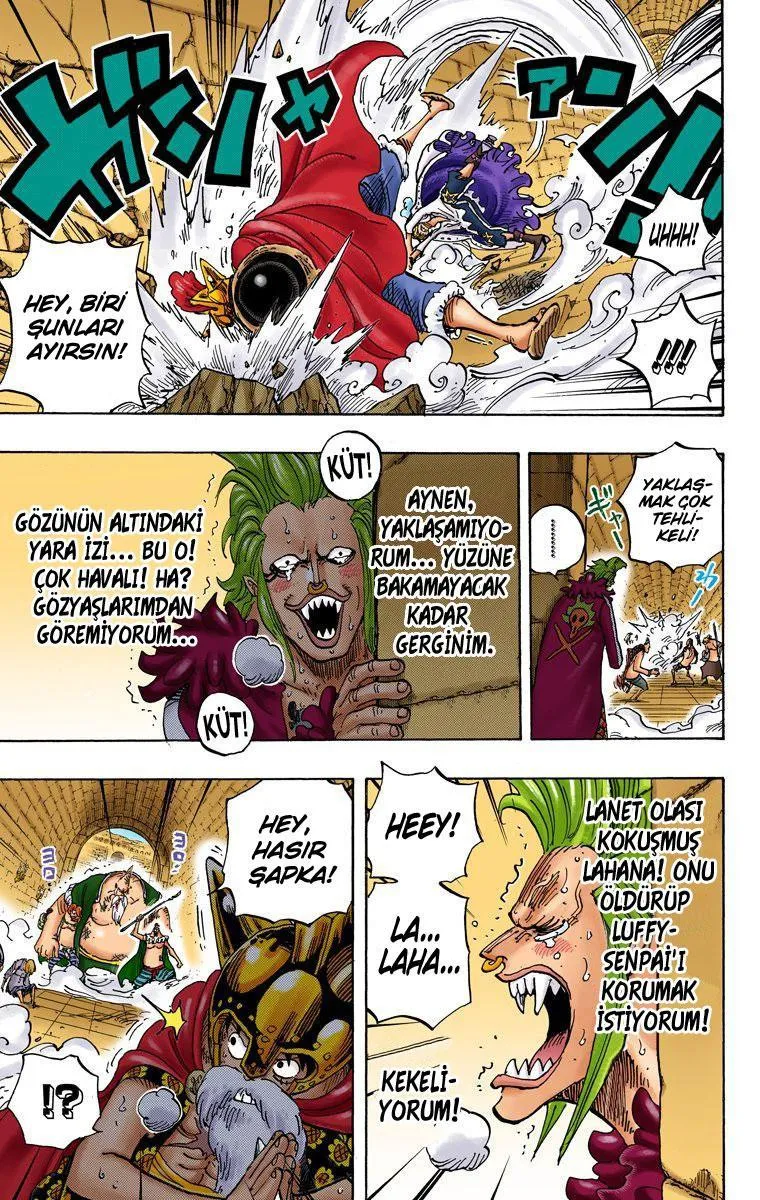 One Piece [Renkli] - Sayfa 8