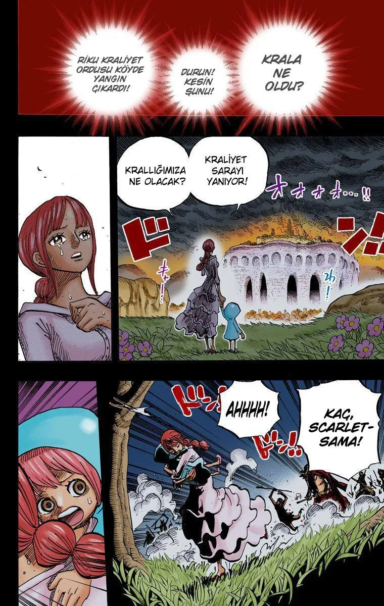 One Piece [Renkli] - Sayfa 7