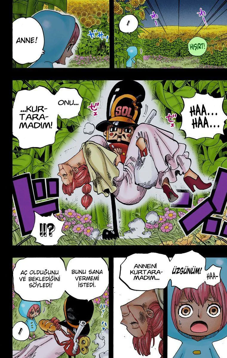 One Piece [Renkli] - Sayfa 9