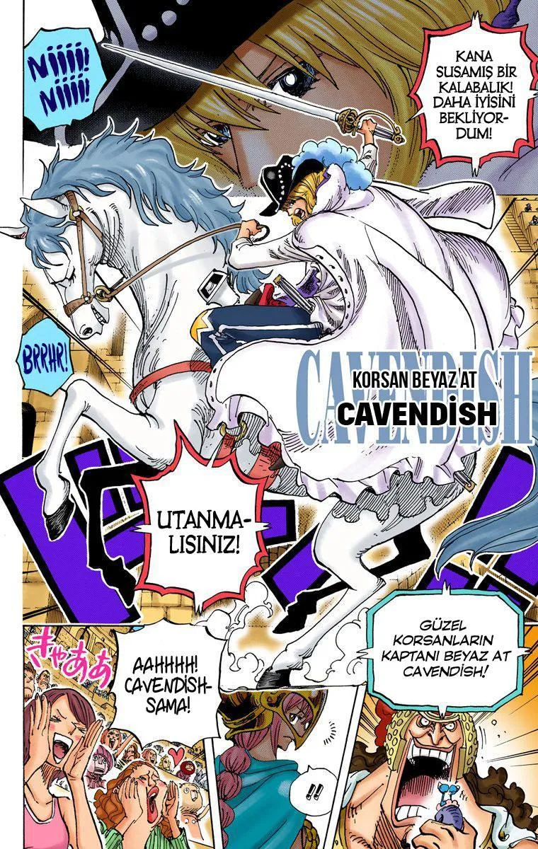 One Piece [Renkli] - Sayfa 5