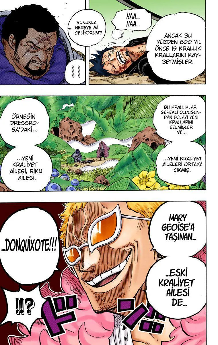 One Piece [Renkli] - Sayfa 19