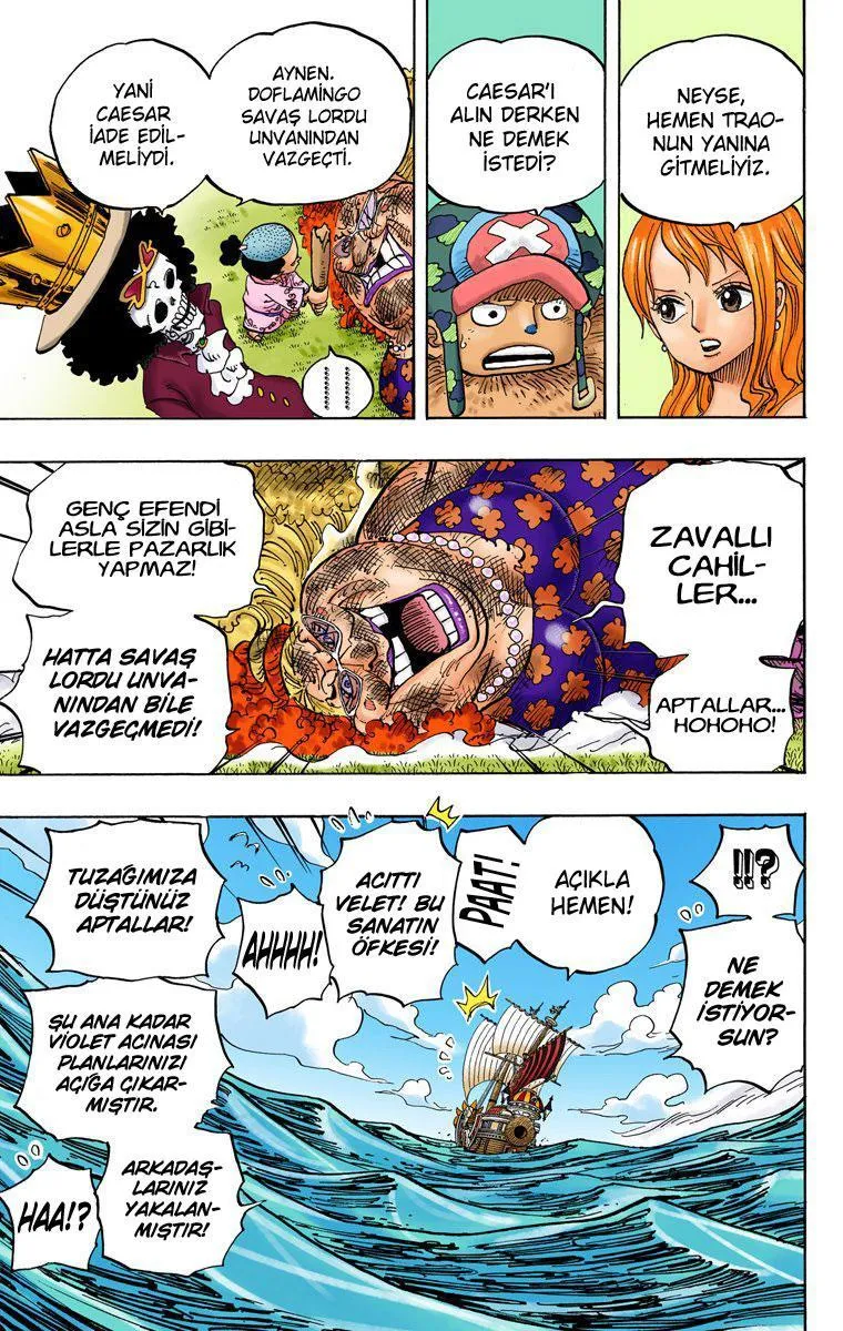 One Piece [Renkli] - Sayfa 10