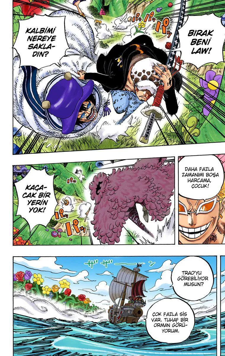 One Piece [Renkli] - Sayfa 15