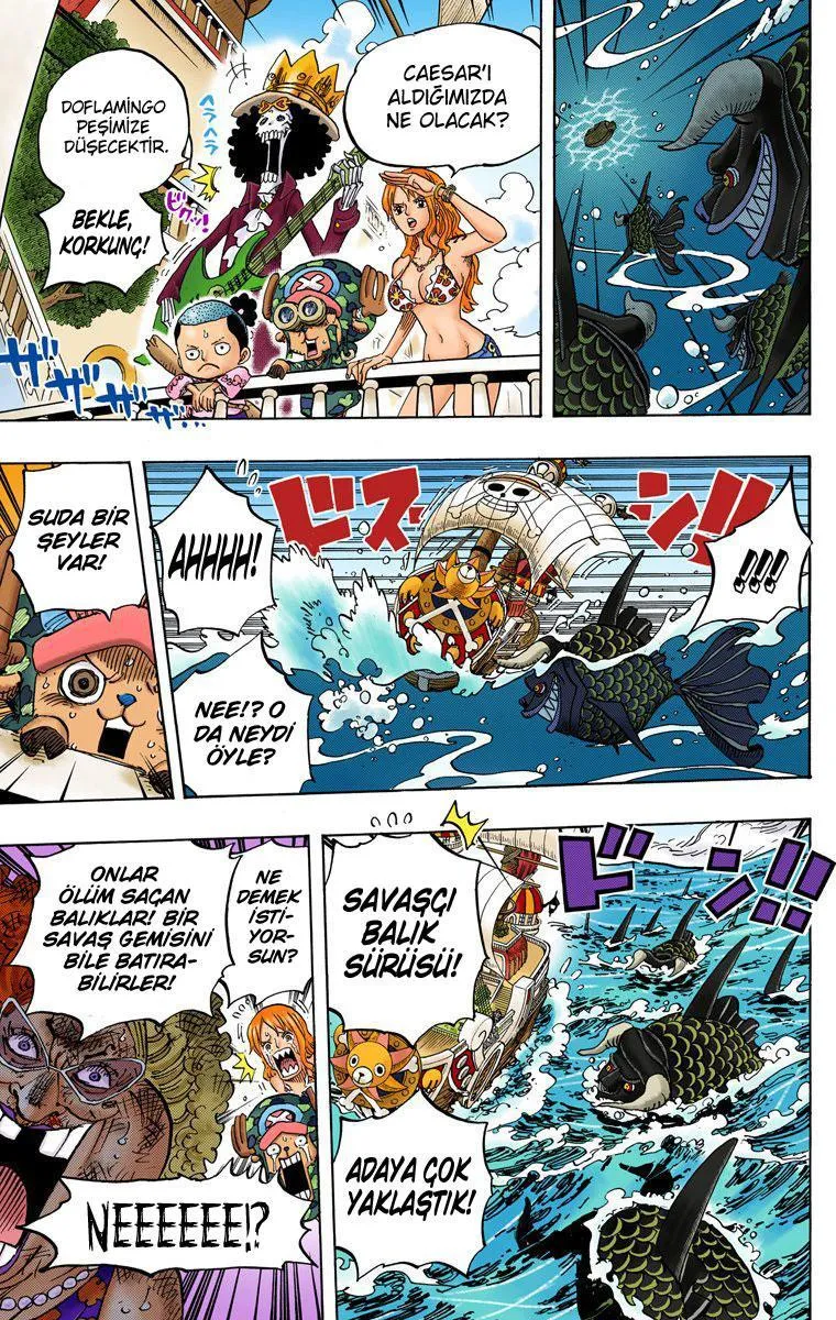 One Piece [Renkli] - Sayfa 16