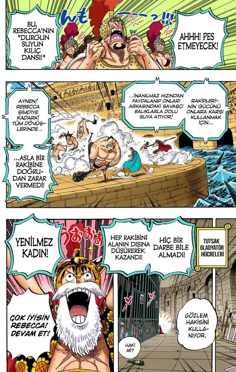 One Piece [Renkli] - Sayfa 12