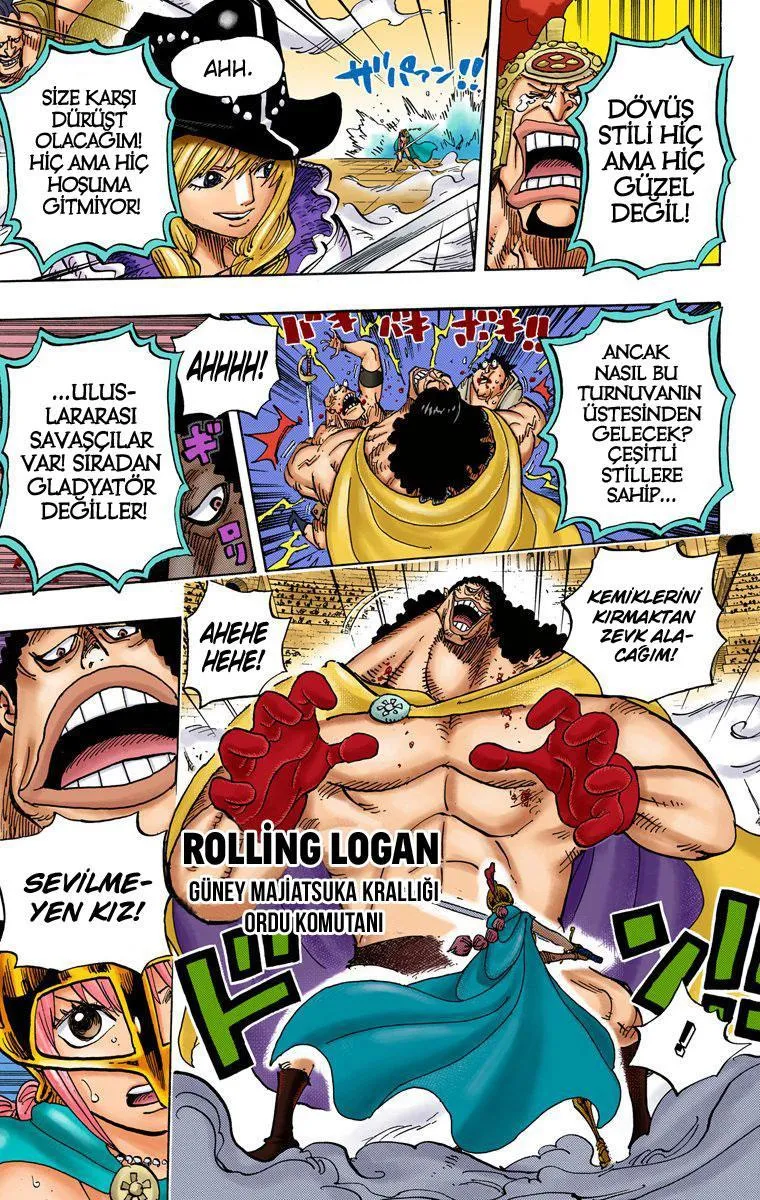 One Piece [Renkli] - Sayfa 13