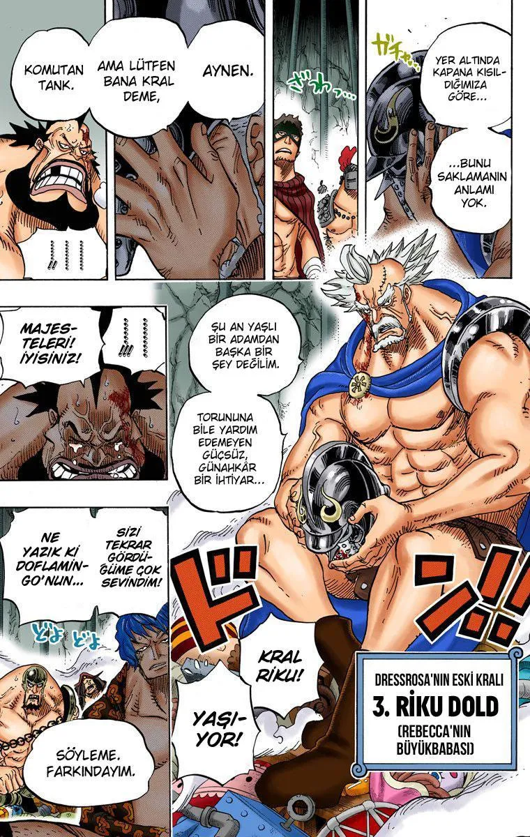 One Piece [Renkli] - Sayfa 5