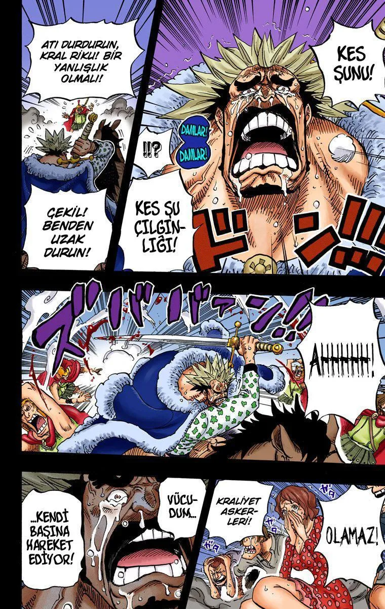 One Piece [Renkli] - Sayfa 16