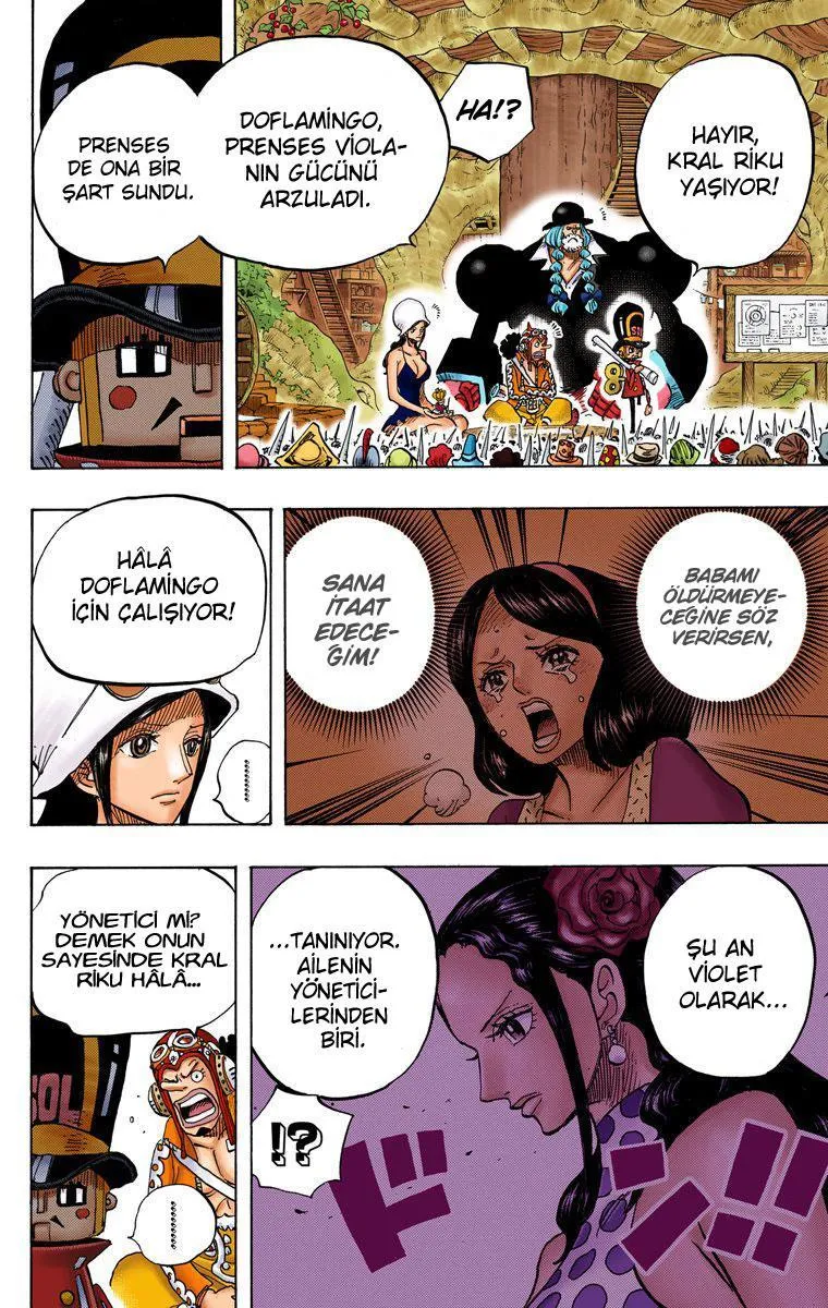 One Piece [Renkli] - Sayfa 11