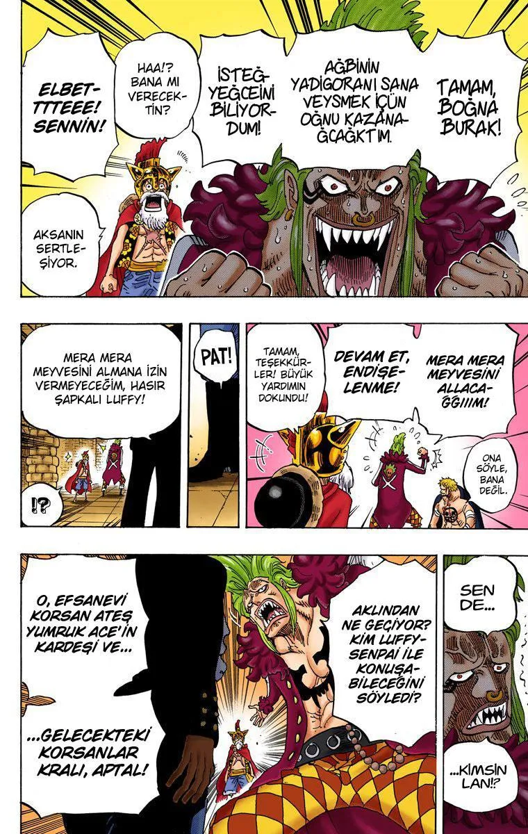 One Piece [Renkli] - Sayfa 15