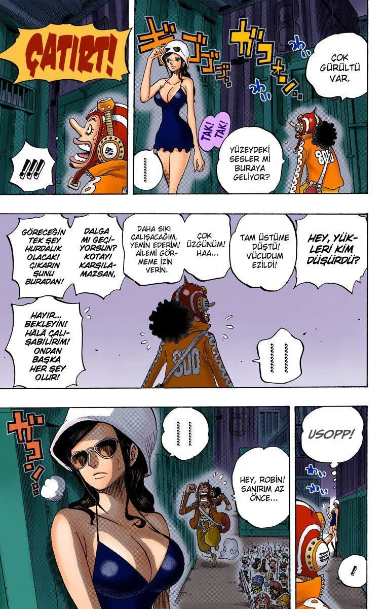 One Piece [Renkli] - Sayfa 17