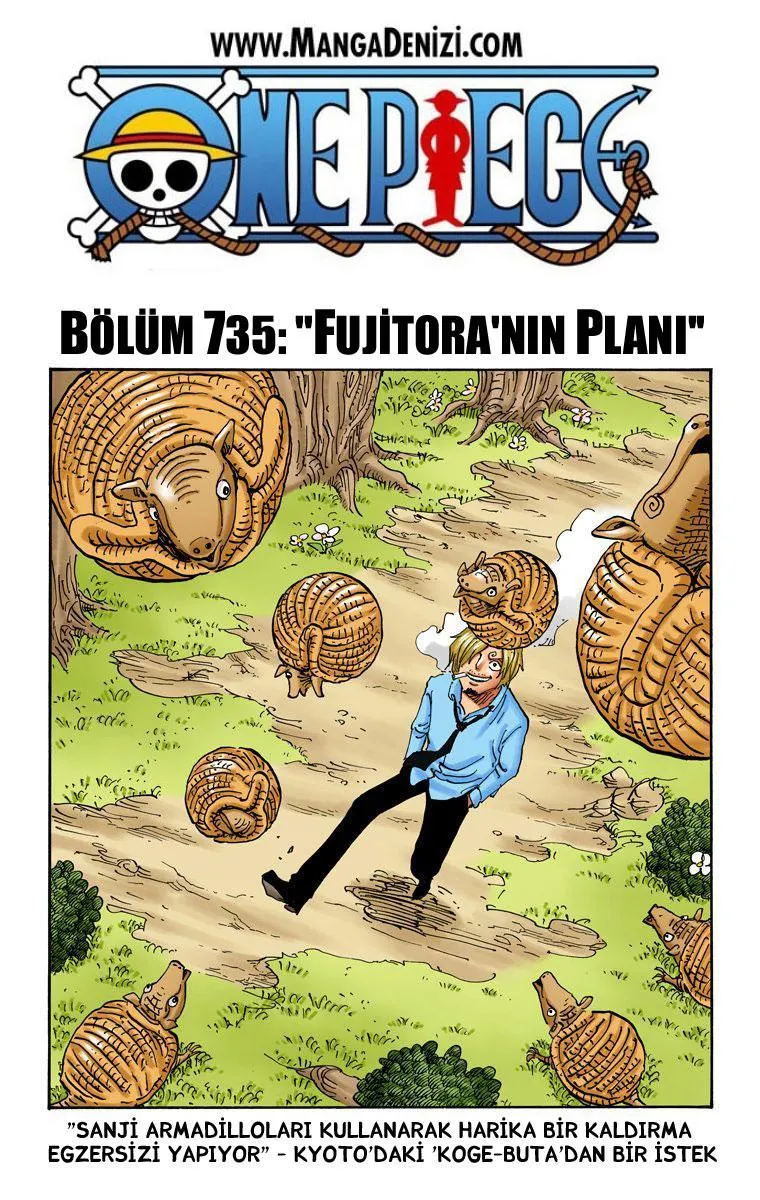 One Piece [Renkli] - Sayfa 2